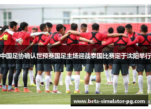 中国足协确认世预赛国足主场迎战泰国比赛定于沈阳举行