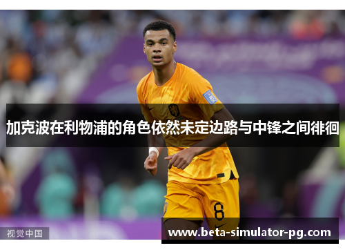 加克波在利物浦的角色依然未定边路与中锋之间徘徊